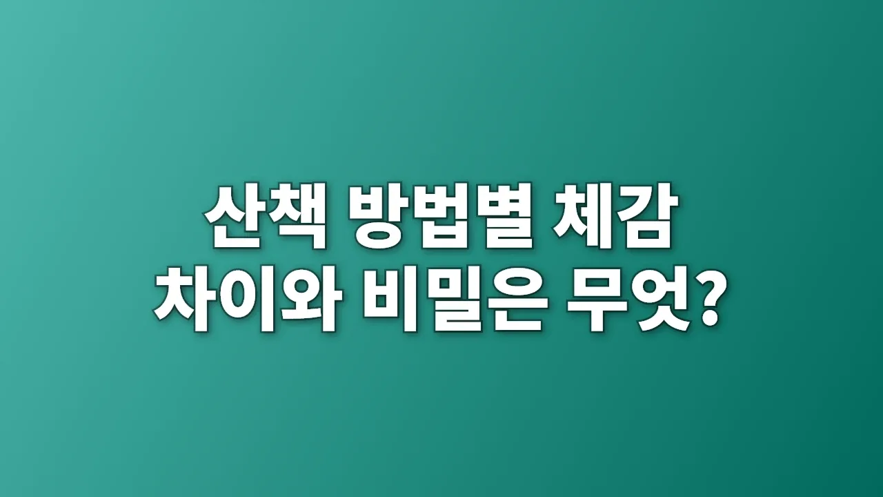 산책 방법별 체감 차이와 비밀은 무엇?